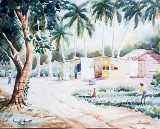 Srilankan Village