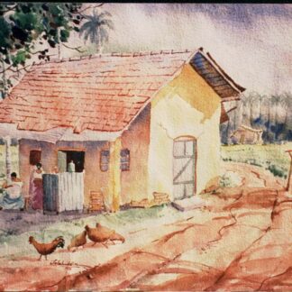 Srilankan Village 2